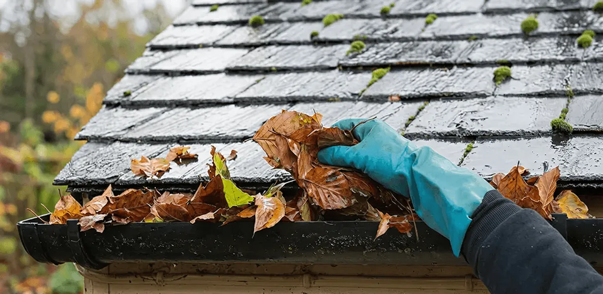 Gutter cleaning technician clearing wet leaves from roof gutters in Lowell, MA